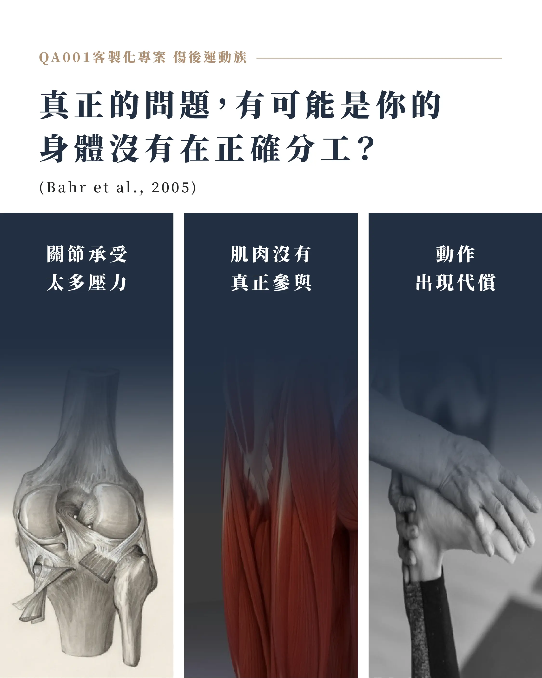 真正的問題,可能是你的身體沒有在正確分工
